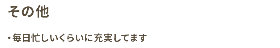 その他